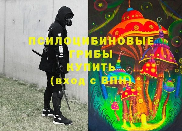 МДПВ Волоколамск
