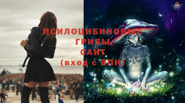 МДПВ Волоколамск