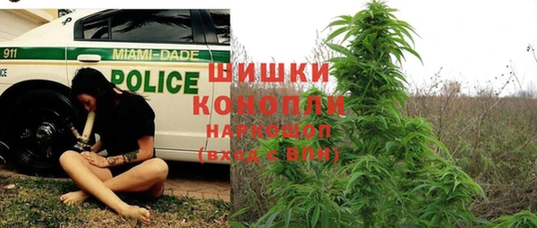 МДПВ Волоколамск