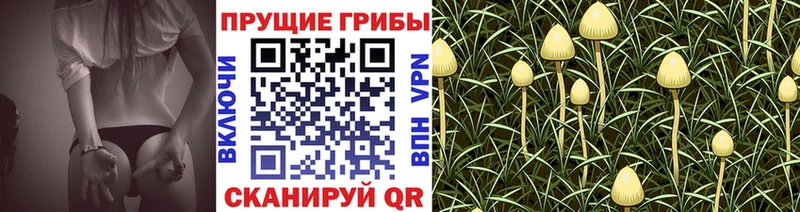 Галлюциногенные грибы MAGIC MUSHROOMS Купить закладки Лебедянь
